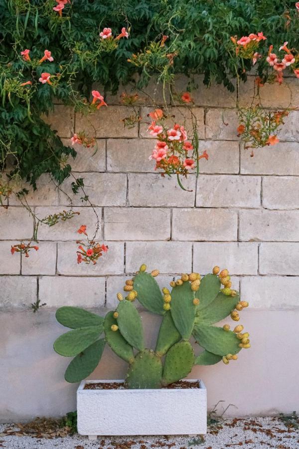 Terra D'Otranto Bed & Breakfast Uggiano La Chiesa Dış mekan fotoğraf